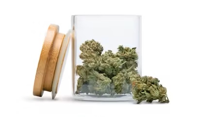 Photograph of product: Breakfast Connections | Biscotti | 3.5G Flower
