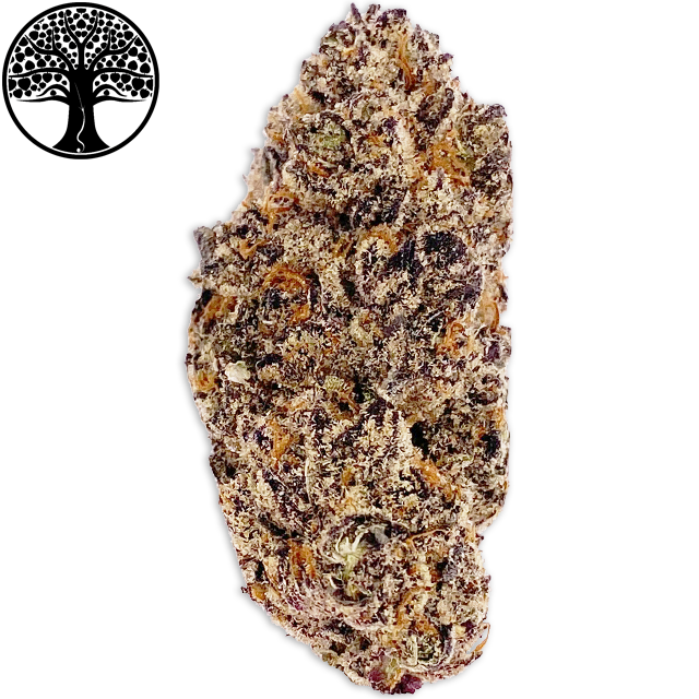 Photograph of product: MORTAL KOMBAT (3.5G)
