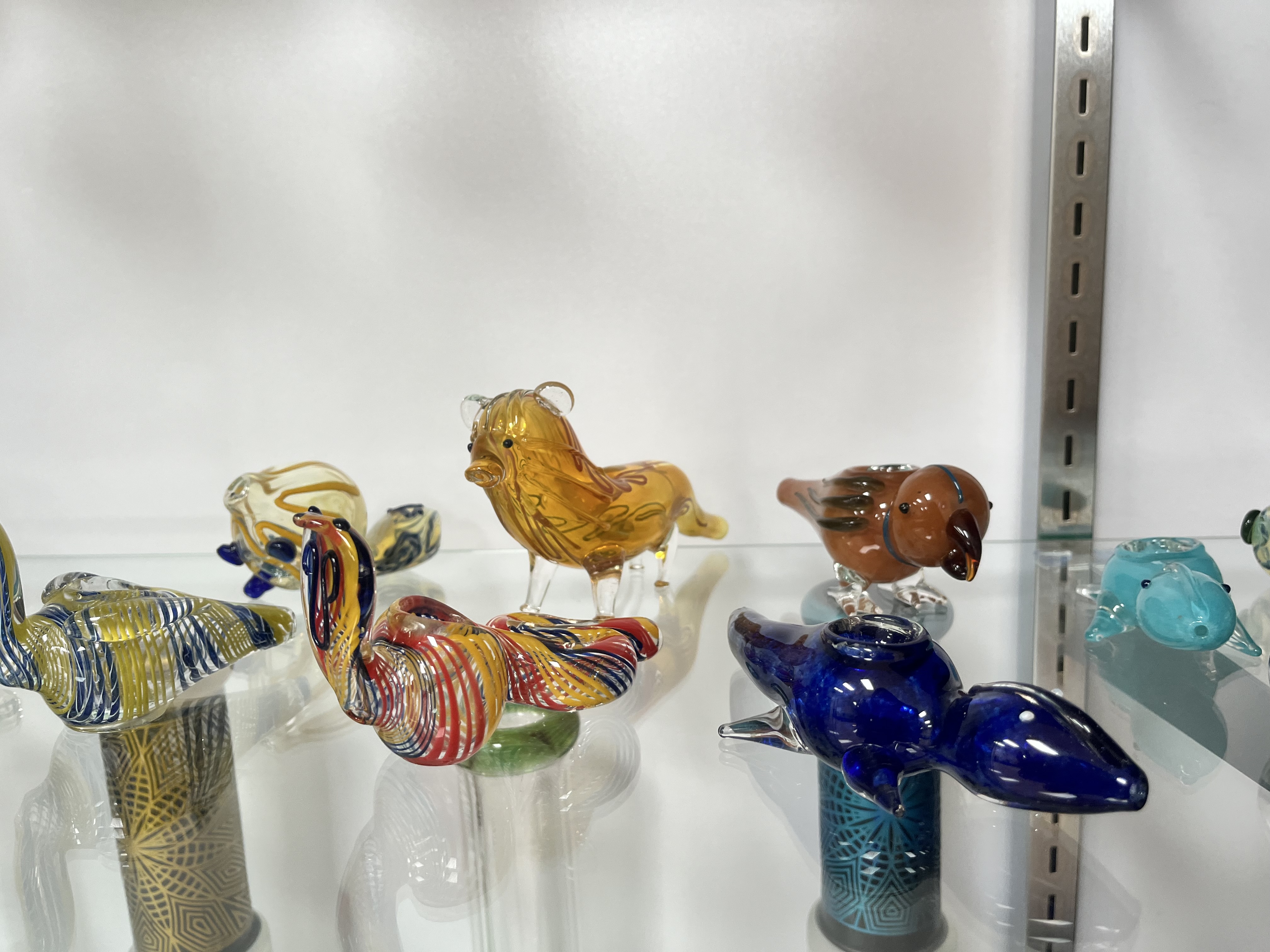 Photograph of product: Animal- BOWL