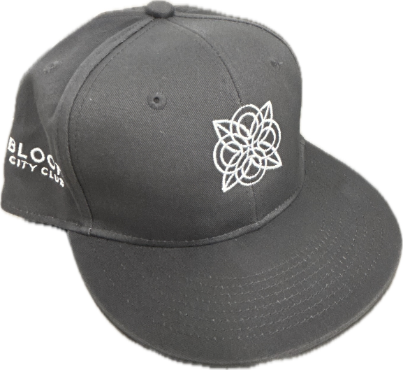 Photograph of product: Gray Snapback | Bloom Brand