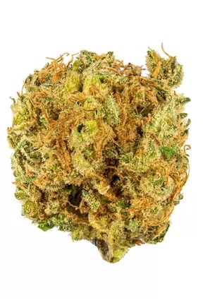 Photograph of product: Hustler's Ambition | Trainwreck (S) - 3.5g