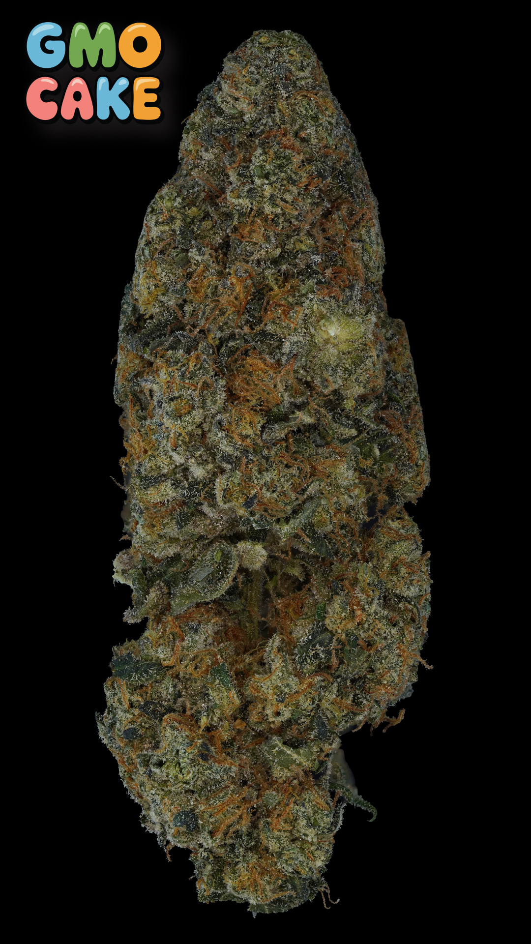 Photograph of product: Platinum Shelf - Prolific Grow House - GMO Kush (H) - 28g