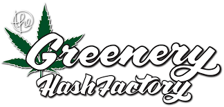 Photograph of product: Greenery au chocolat | Lebanese | 1G | 1337 OG | Oui'd