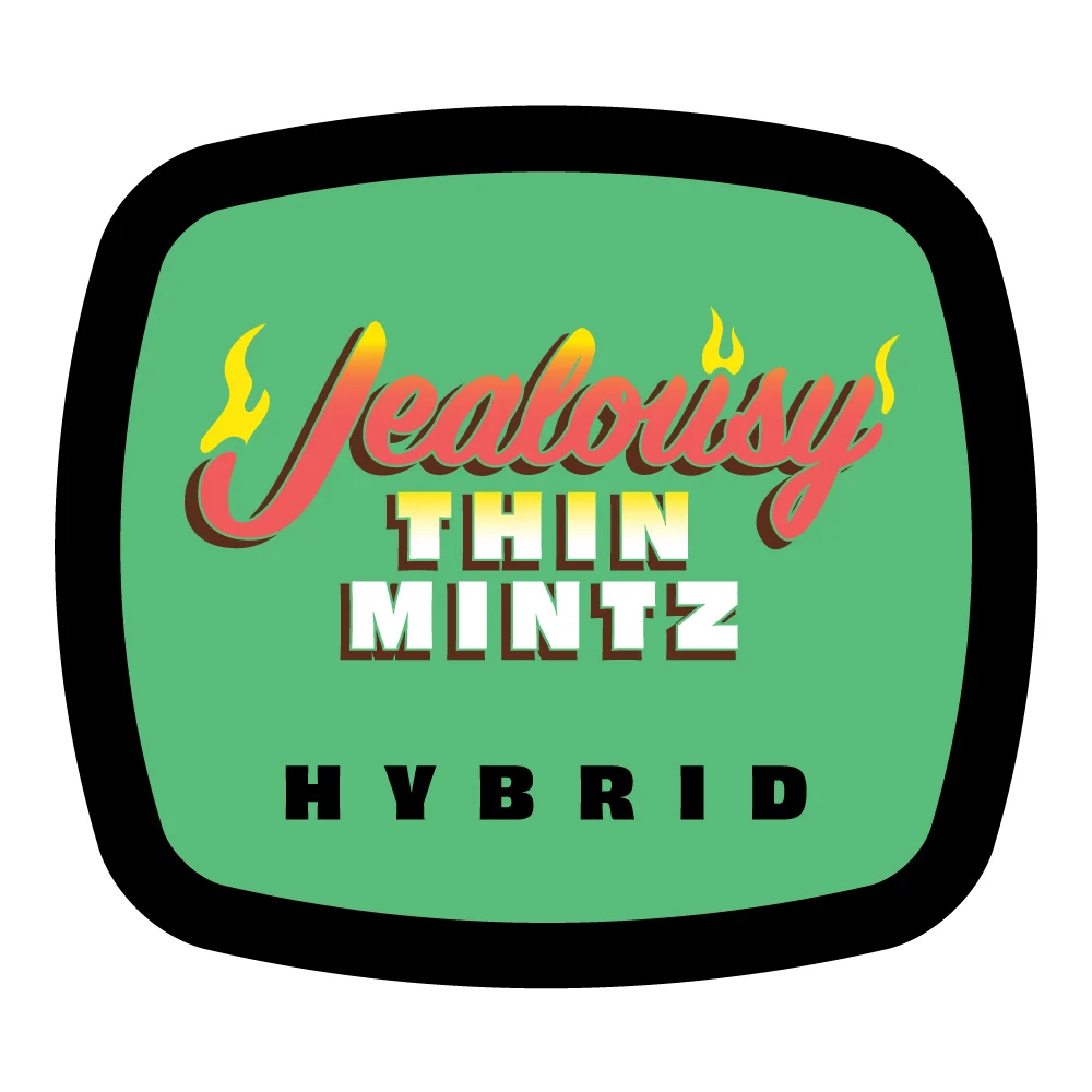 Photograph of product: 93 Boyz - Infused Blunt - Jealousy Thin Mintz (H)