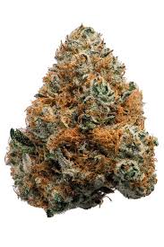 Photograph of product: Flower | Dark Rainbow | Flwr Pot - 28g