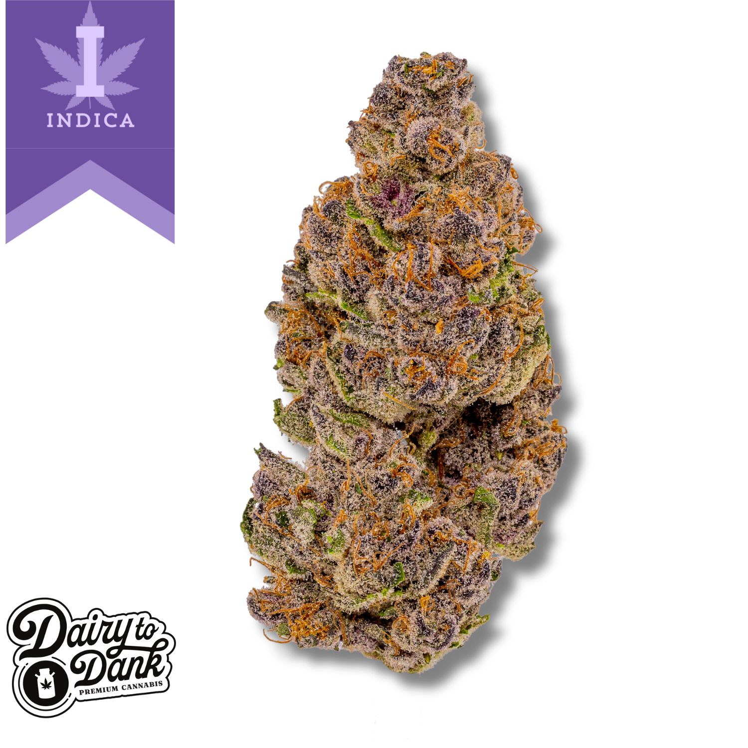 Photograph of product: D2D | Flower | Pre-Pack  | 1pk | Point Break (IDH) | Bigs - 14g