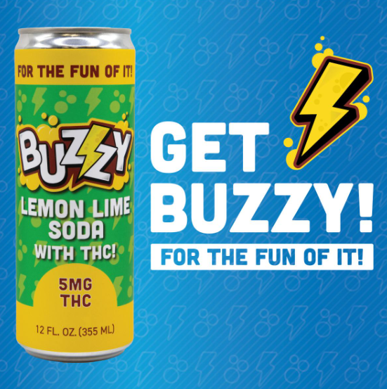 Photograph of product: Lemon Lime Soda | Single Can