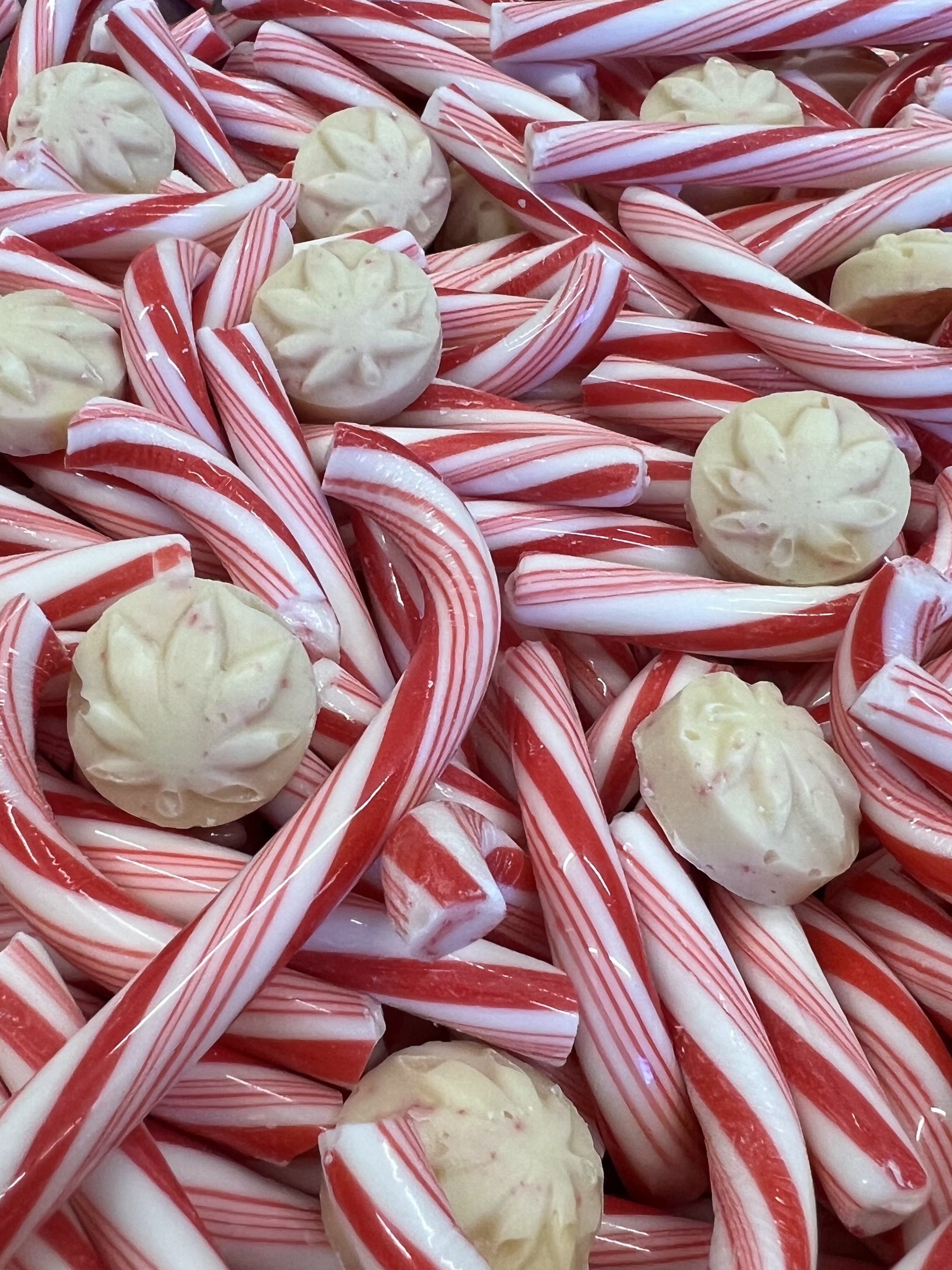 Photograph of product: Hybrid Peppermint Bark | Chocolate Bites (7 Pack)