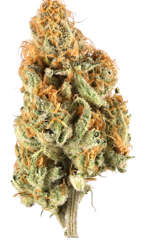 Photograph of product: Golden Banana | 3.5G Flower (TAX INCLUDED)