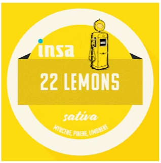 Photograph of product: 22 Lemons - Kief - 1.0g