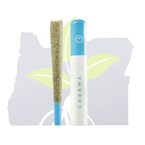 Photograph of product: Cabana-1G PR-(U)Koala
