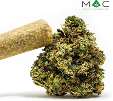 Photograph of product: Juniper Jive Preroll