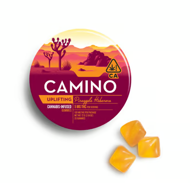 Photograph of product: Camino | Pineapple Habanero Gummies | 20 Pack | 100mg