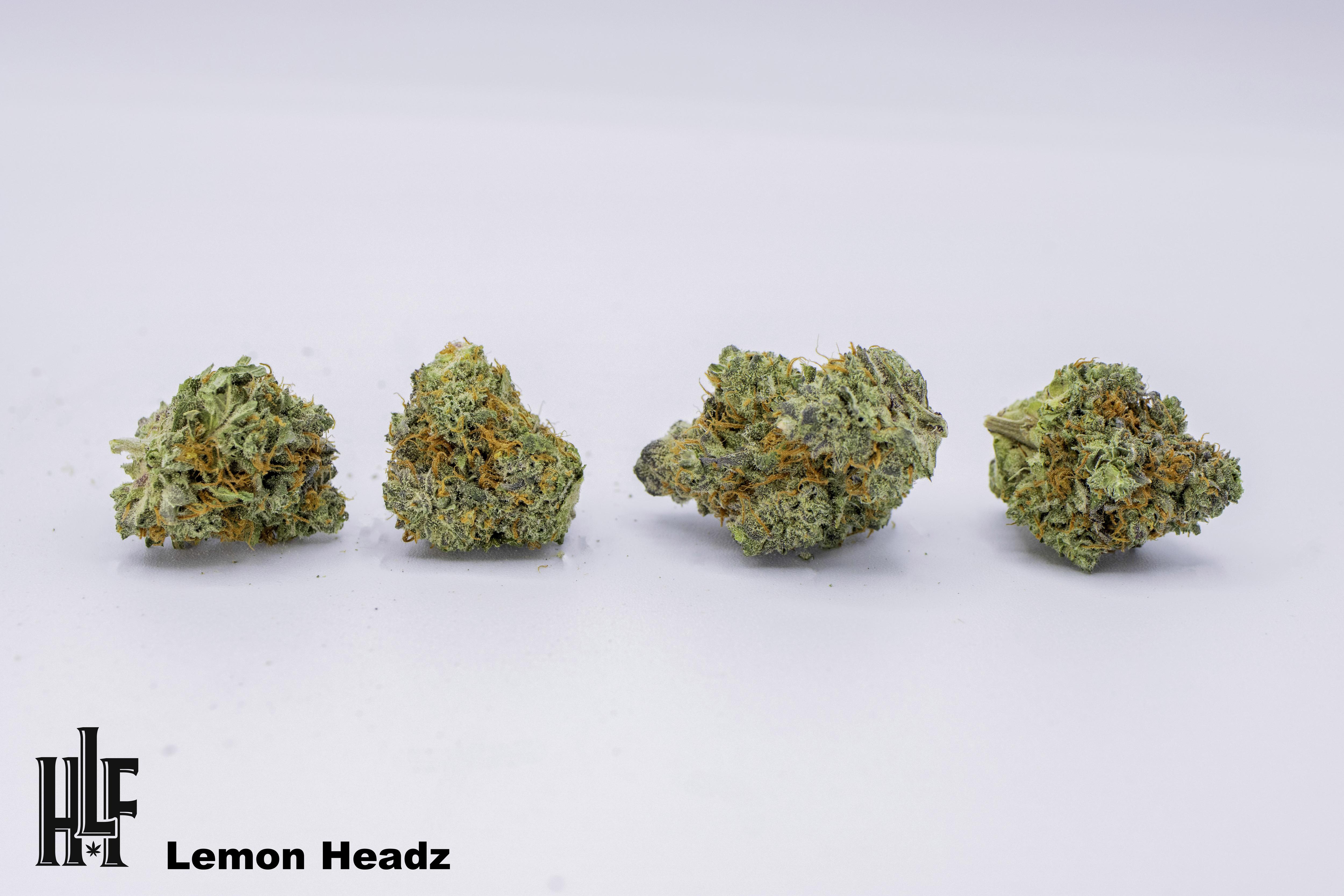 Photograph of product: Lemon Headz | Bulk Flower | High Life Farms - 14g