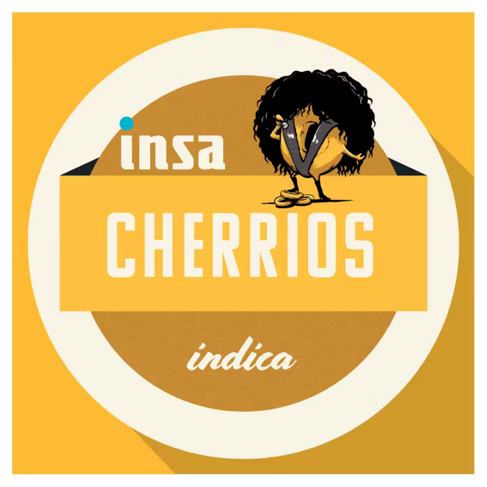 Photograph of product: 3.5g | Cherrios | INSA