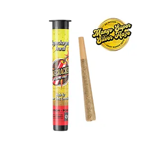 Photograph of product: Firecracker: Mango Super Silver Haze | 1g | Infused