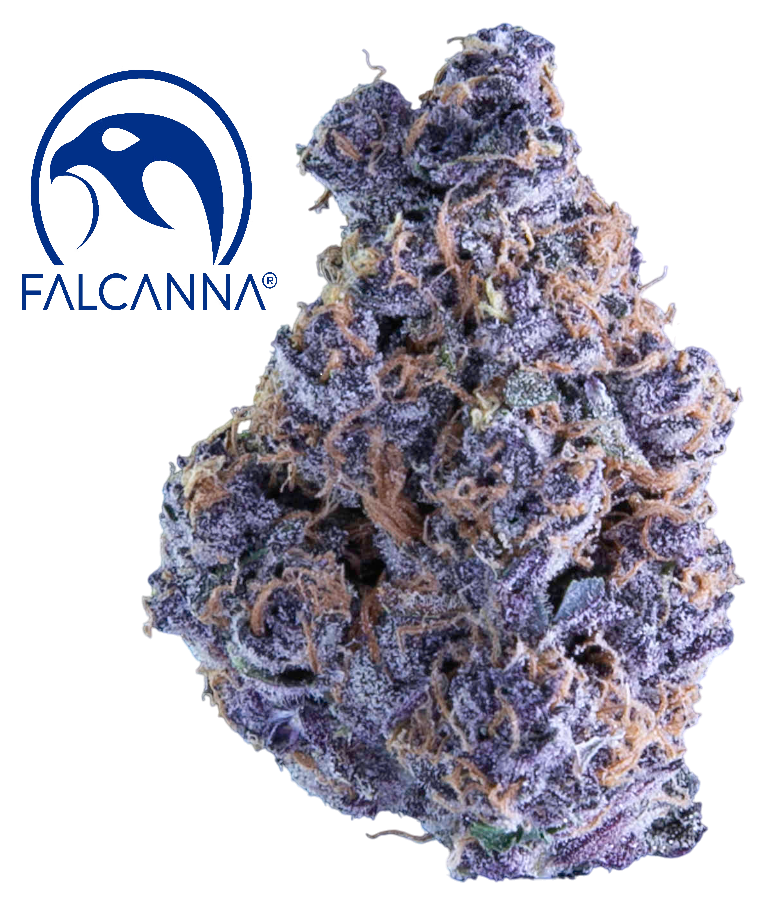 Photograph of product: Falcanna Pacific Purple 3.5g