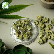Photograph of product: Savvy Smalls 28g Green Diesel S 26253 (28g)