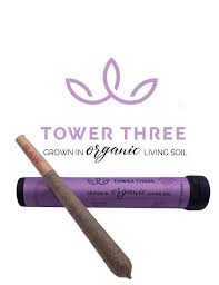 Photograph of product: TOWER THREE | BLACK MAPLE (H) SUGAR INFUSED PREROLL