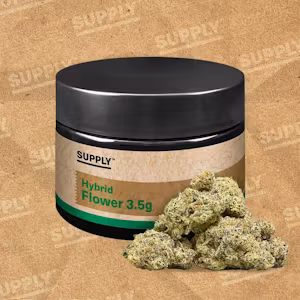Photograph of product: High Supply - Gelato Zafari - Hybrid - 14g