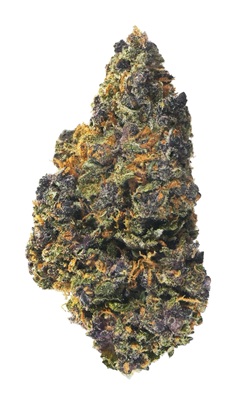 Photograph of product: FloraVega | Rainbow Sherbet (H) - 3.5g