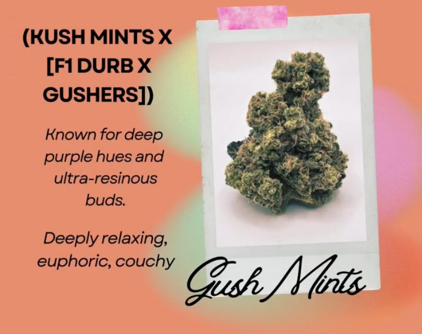 Photograph of product: Gush Mints (I) - 28g
