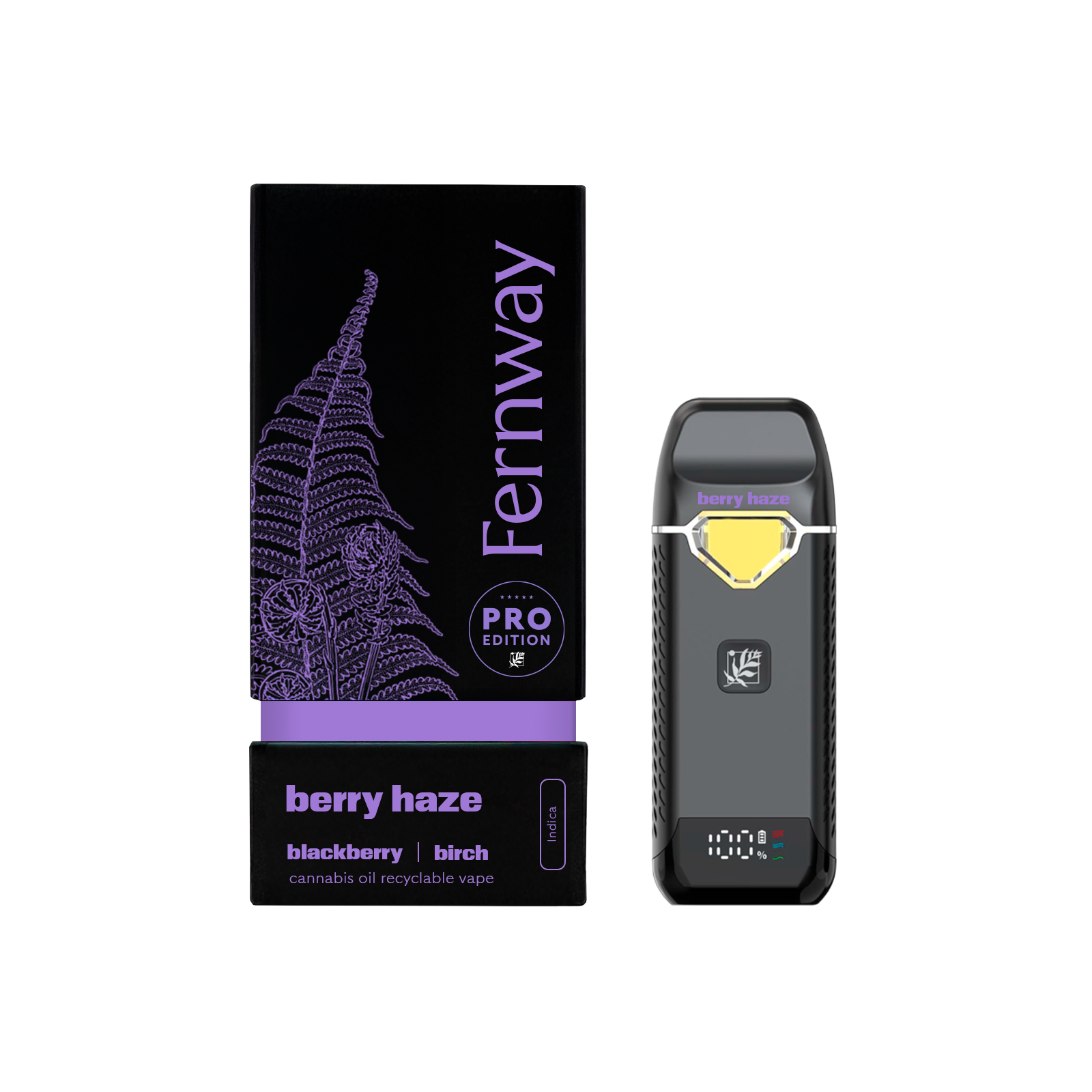 Photograph of product: FERNWAY Pen 2000mg: Berry Haze