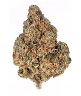 Photograph of product: Polaris | Tangerine OG 3.5g