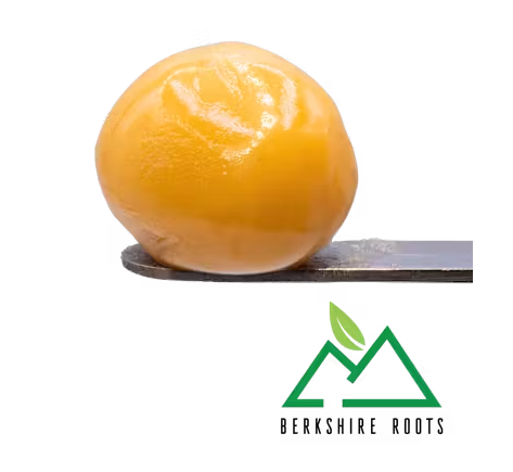 Photograph of product: Ice Cream Kush | 1g Live Badder