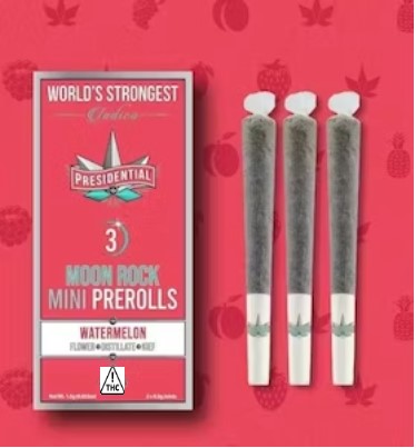 Photograph of product: Presidential | Cherry Gelato .5g IPR | 3pk