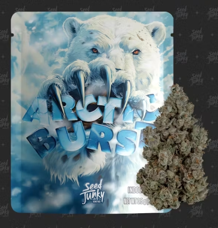 Photograph of product: Arctic Burst - 3.5g