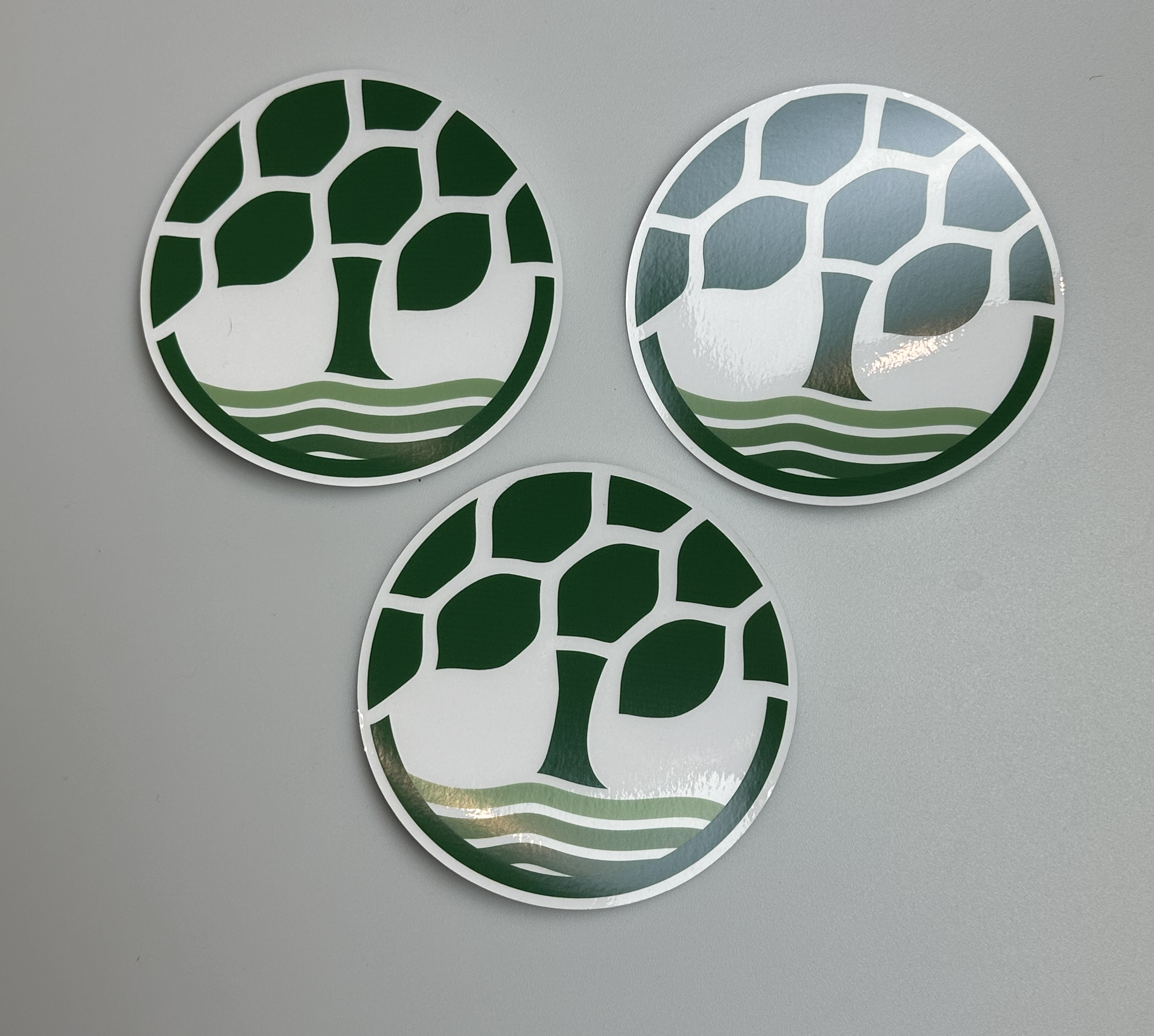 Photograph of product: Devine Window Sticker