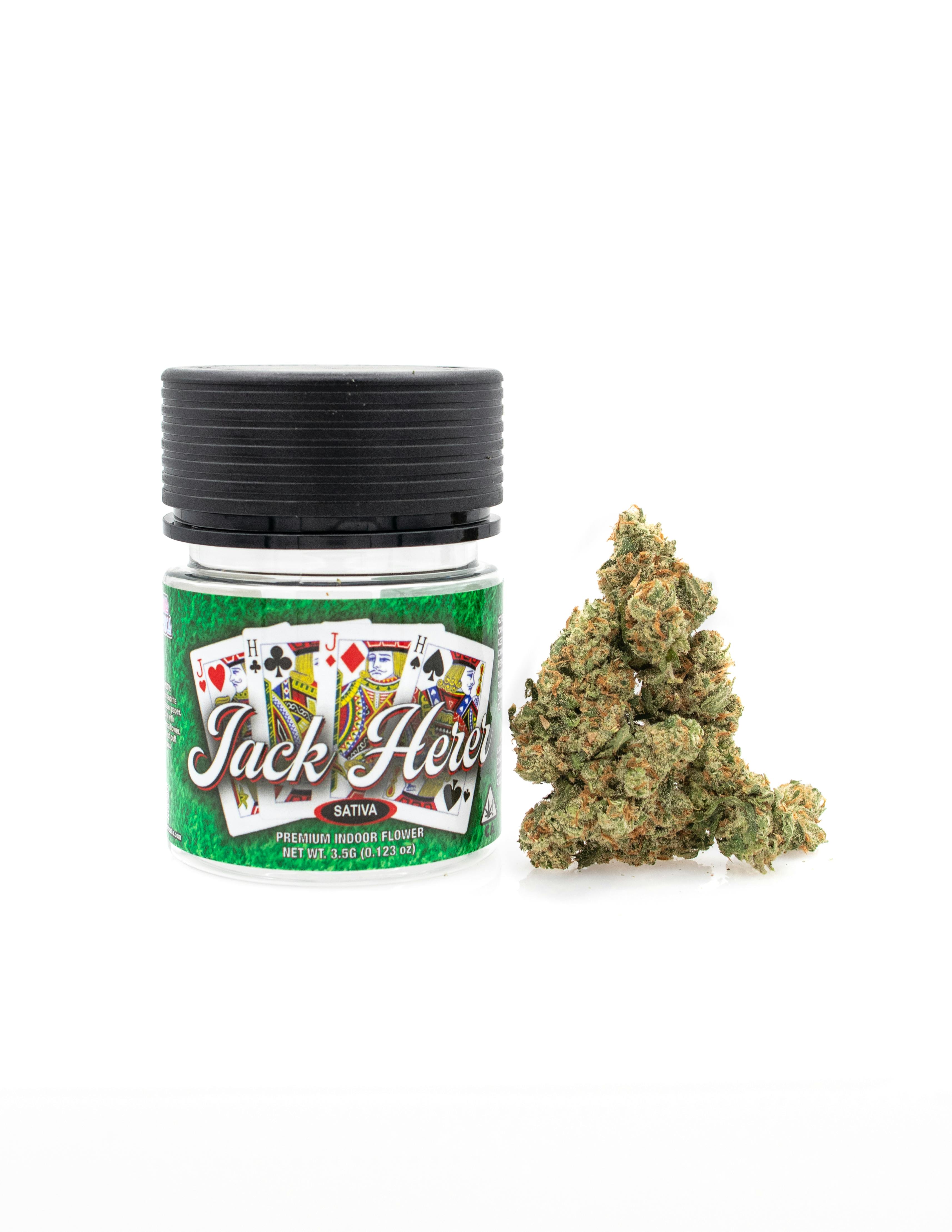 Photograph of product: Canna America - Jack Herer - 3.5G