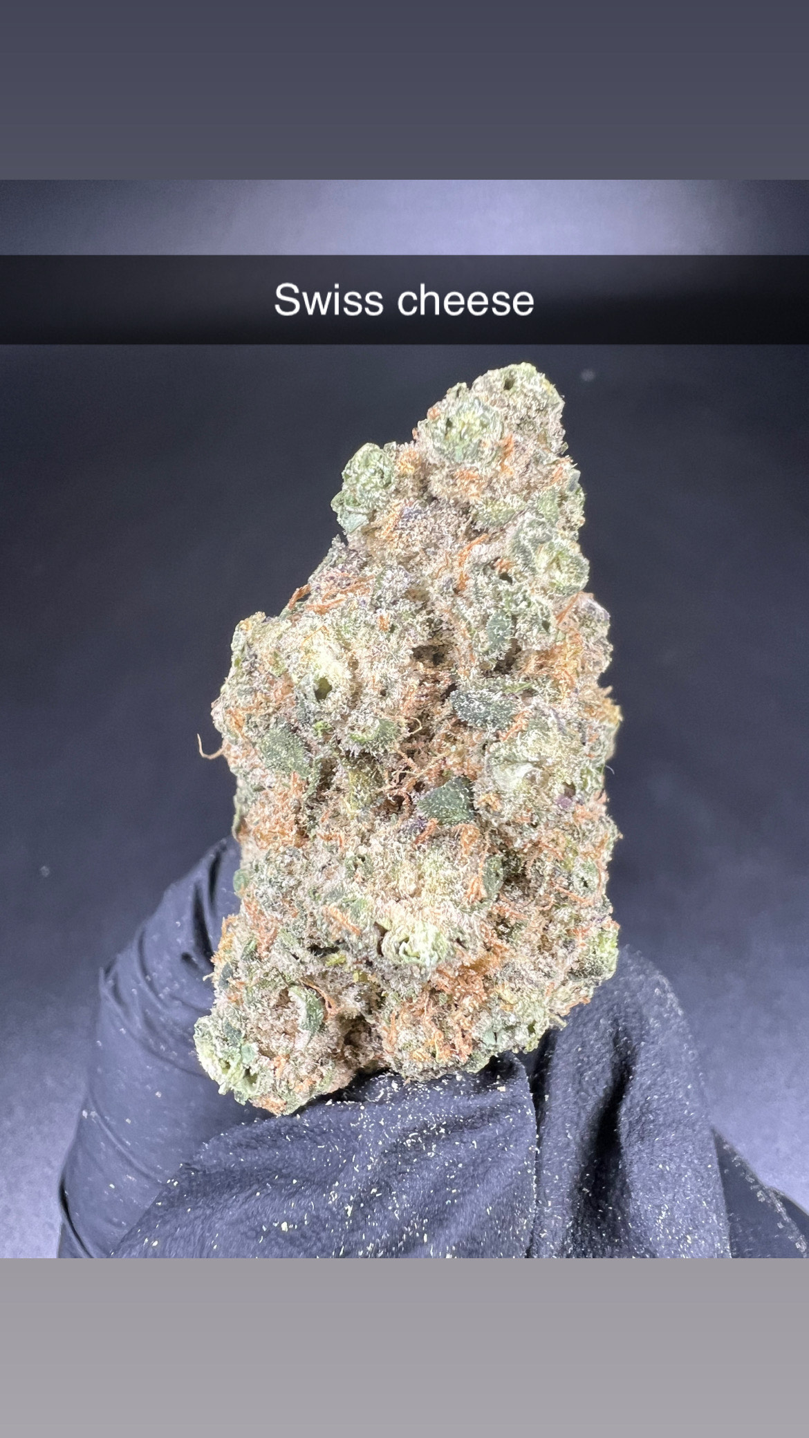 Photograph of product: Cheddar Cheeze - Flower - Oui'd - 28g