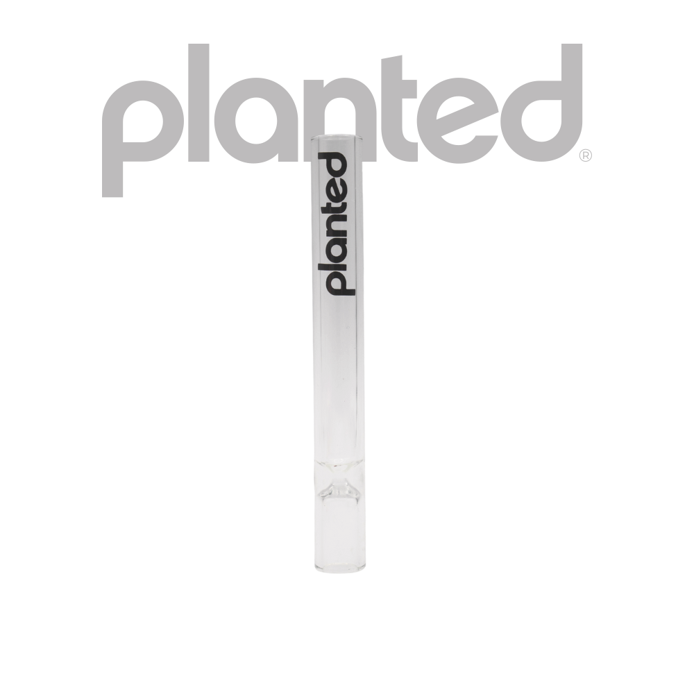 Photograph of product: Planted Glass Chilliums