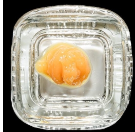 Photograph of product: IESO Alchemy Live Budder - Acapulco Gold 1g