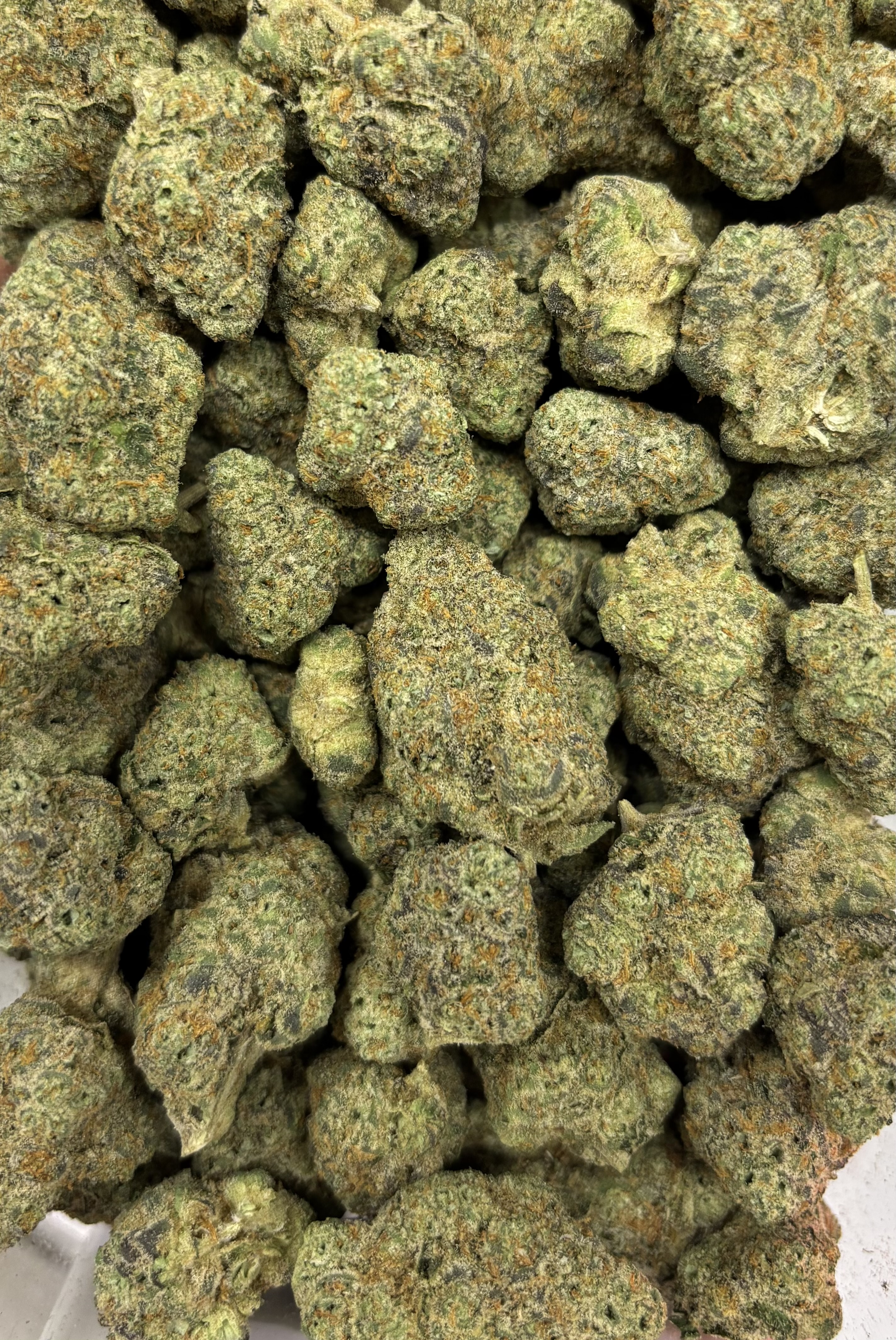 Photograph of product: Gas Tier Deli - Blue Z - 28g