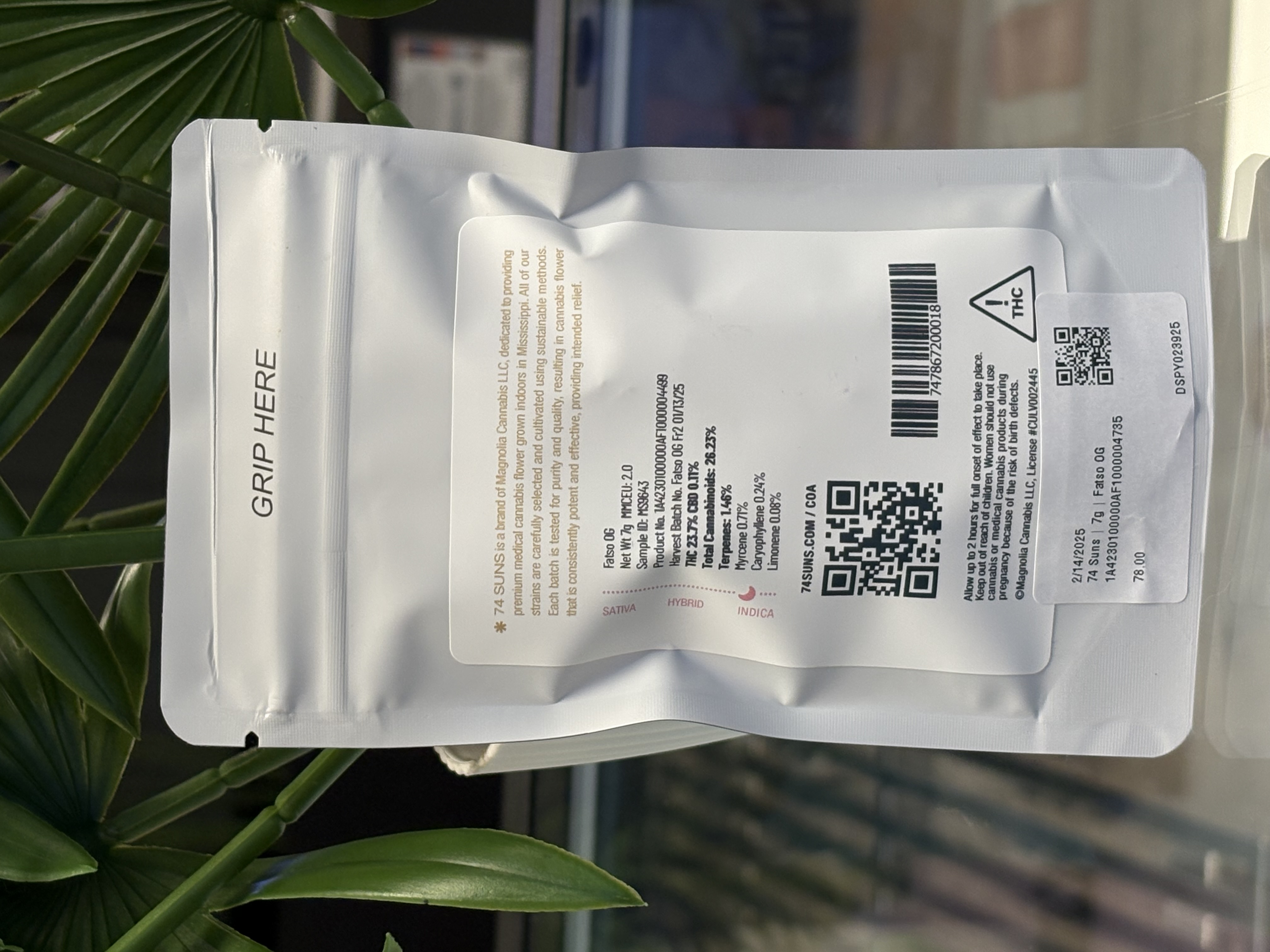 Photograph of product: 74 Suns | 7g | Fatso OG