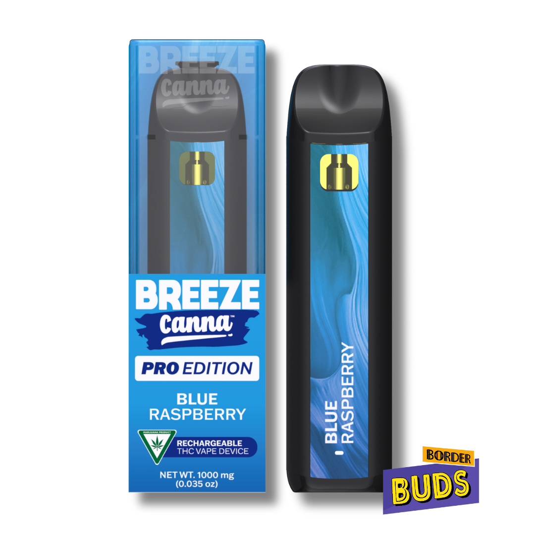 Photograph of product: Blue Raspberry | Breeze Canna PRO | 1g | Disposable
