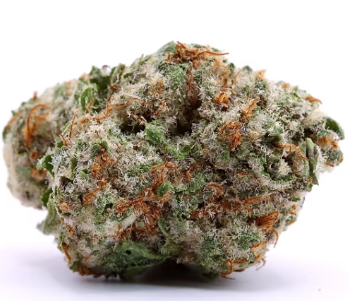 Photograph of product: KMB Farms | Flower (A Bud) | Secret Formula | Hybrid Oui'd - 14g