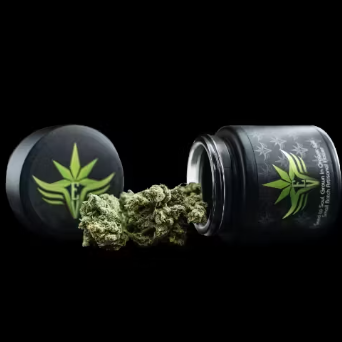 Photograph of product: EV | Rainbow Runtz Flower - 3.5g