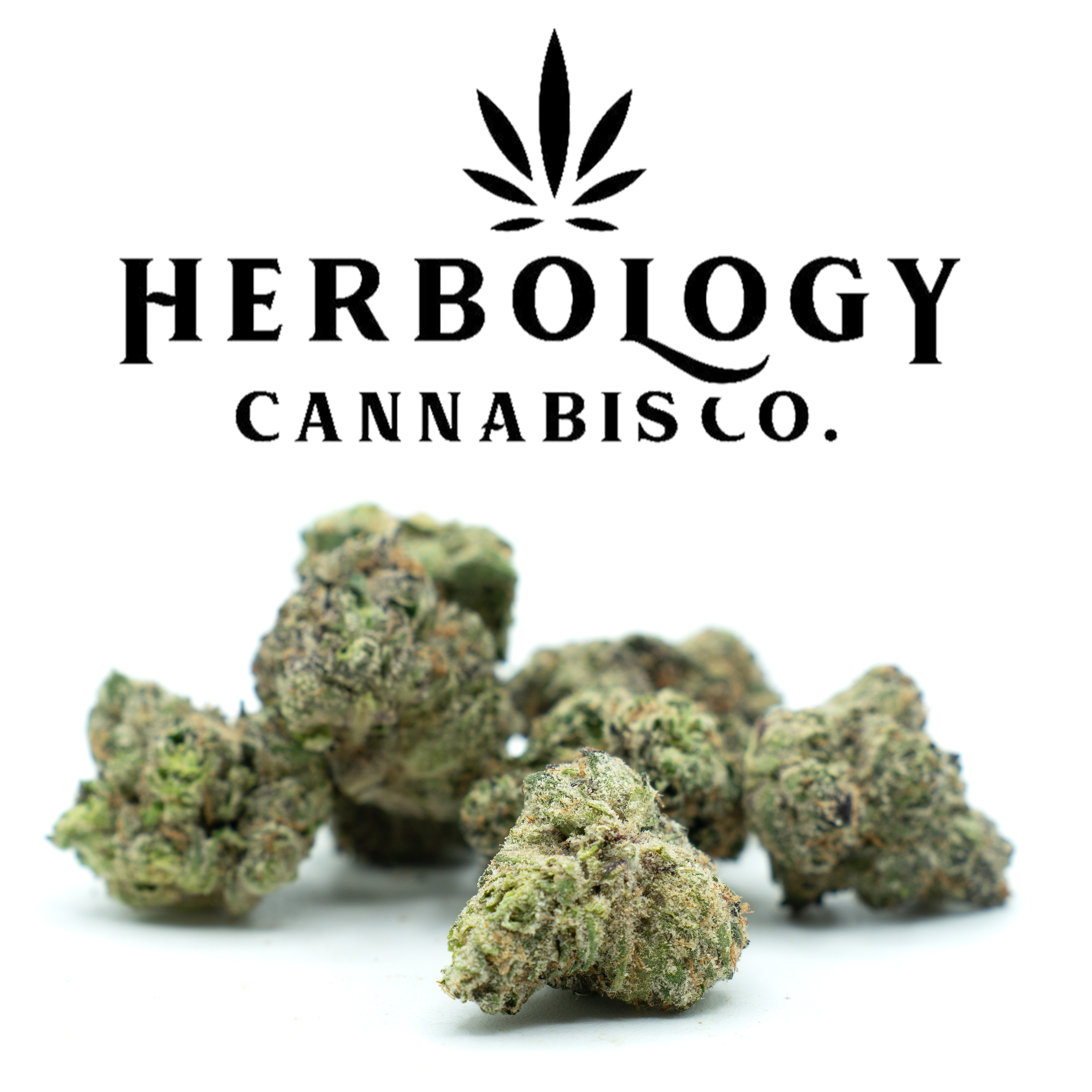 Photograph of product: Epic Gardens | XO Runtz | Deli - 28g