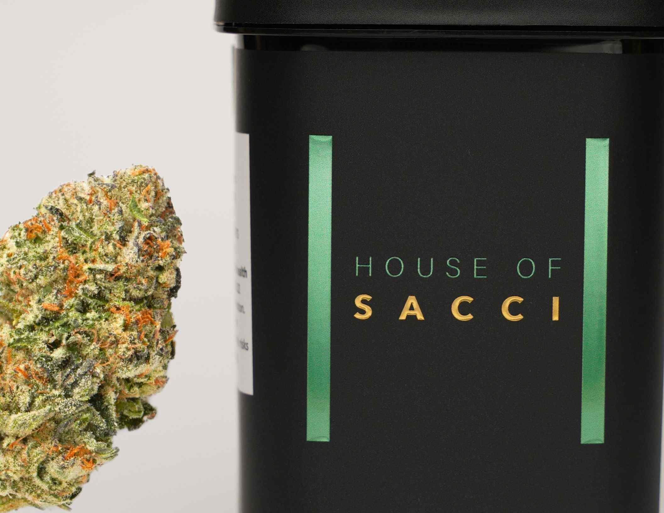 Photograph of product: HOUSE OF SACCI | JAR FLOWER | GELATO 41 - 3.5g