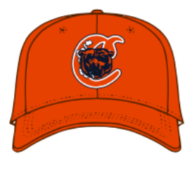 Photograph of product: Cookies - Smokey Bear - Snapback - Orange
