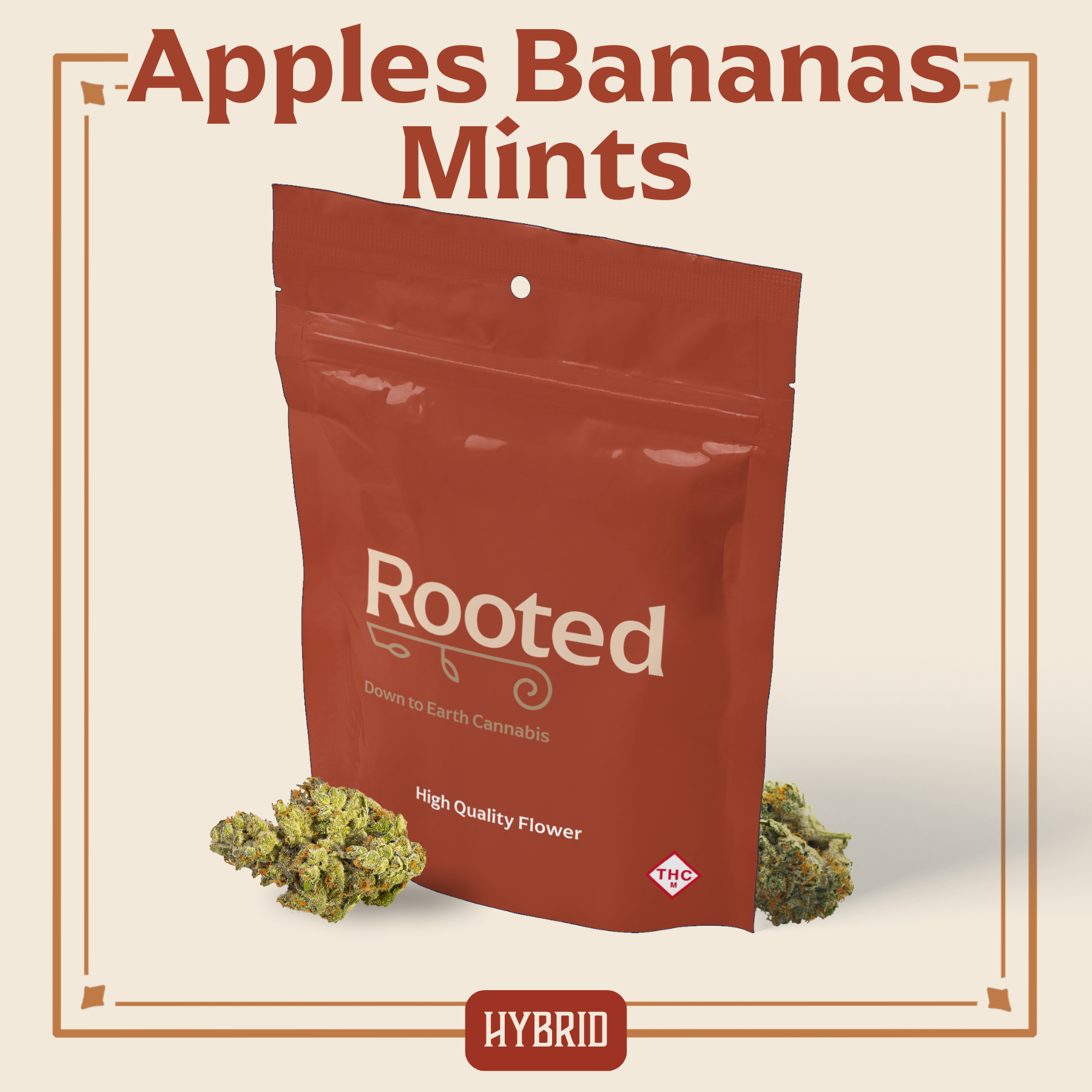 Photograph of product: Rooted: Flower | Apples & Bananas Mints | 3.5g