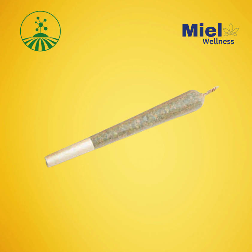 Photograph of product: Amnesia | Single PreRoll | 0.7g