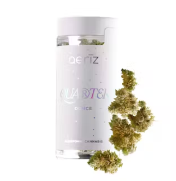 Photograph of product: Gelato Mintz - 7g