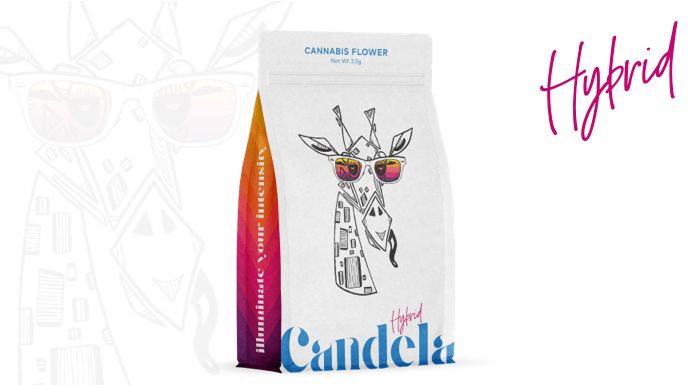 Photograph of product: Animal Tree 3.5g by Candela