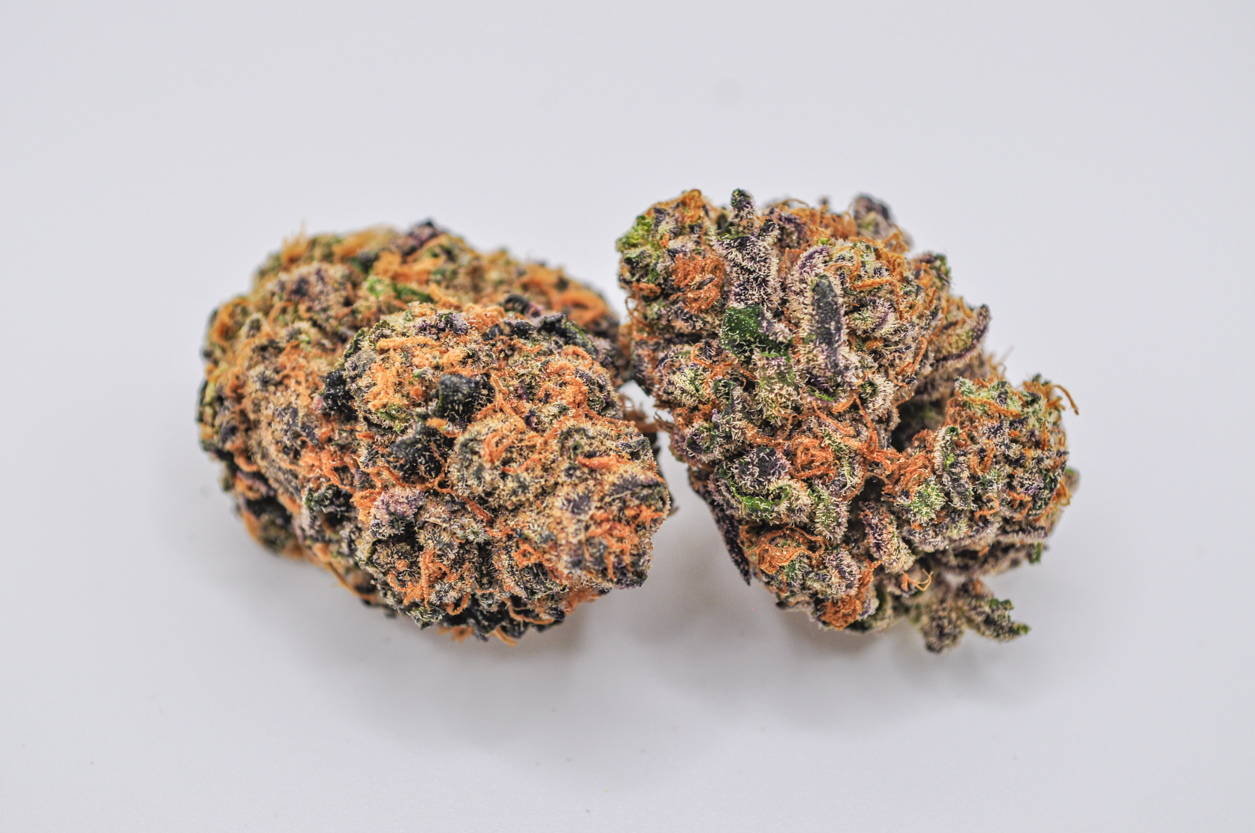 Photograph of product: SG - Sour Rain - PrePack Flower - 7g
