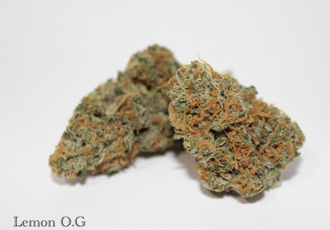Photograph of product: Roemer Farms Flower - Lemon OG Haze - 3.5g